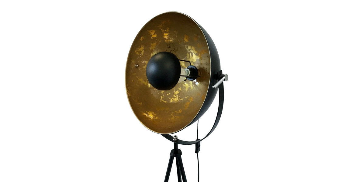 Fortune Modern Floor Lamp