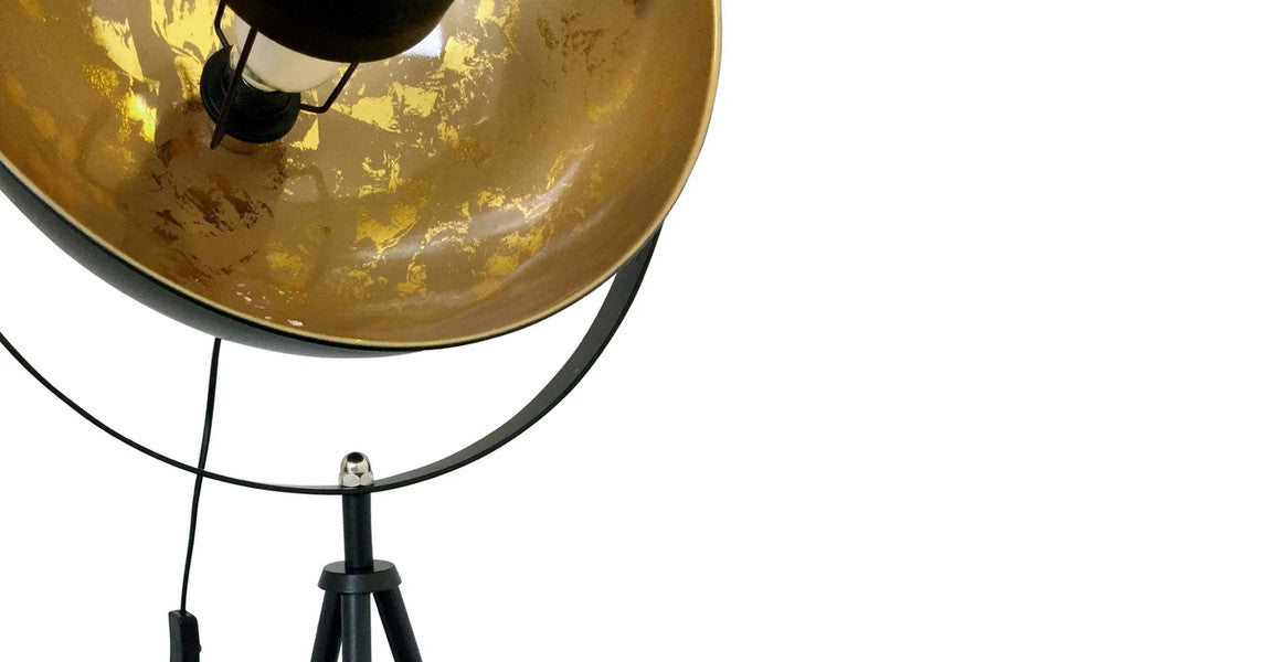 Fortune Modern Floor Lamp